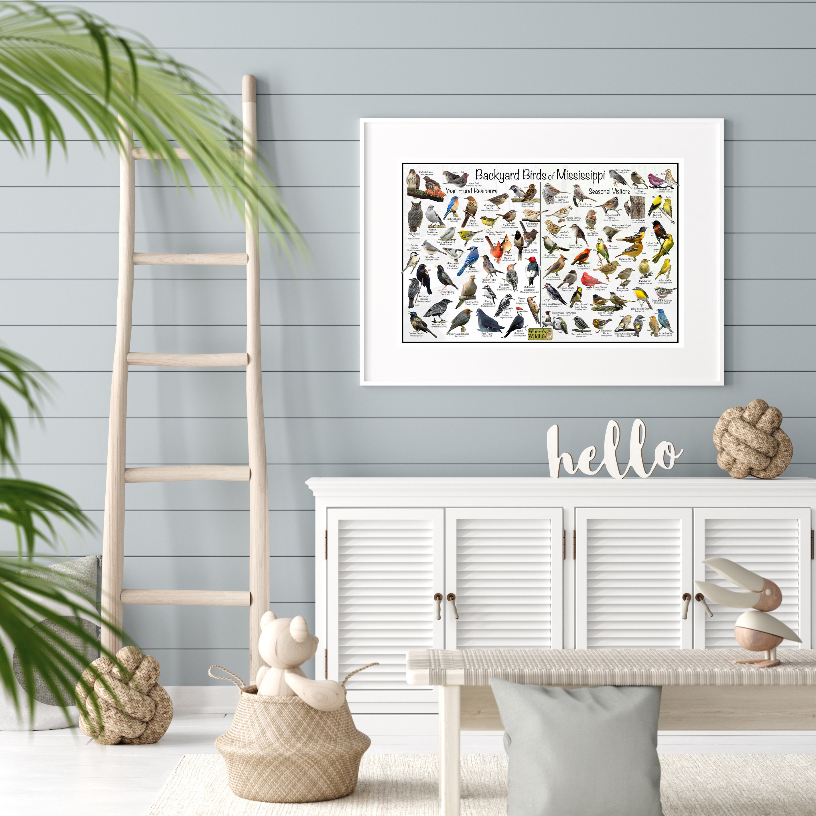 Backyard Birds of Mississippi Bird Identification Poster Divided Into ...