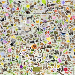 Nature Collage Poster (24" x 36") Print contiene más de 700 imágenes de diversos animales salvajes. Aves, insectos, mamíferos, anfibios, flores y más