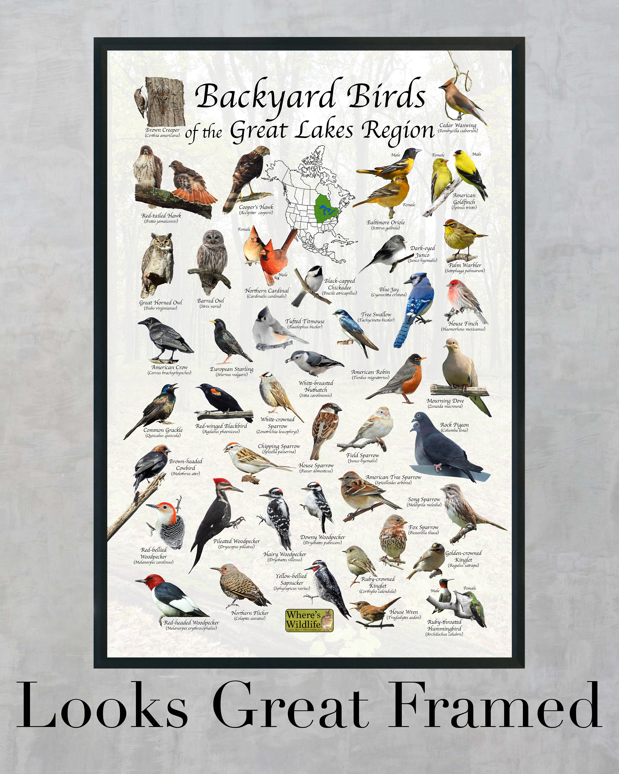 Birds from a Feather – Garden & Gun