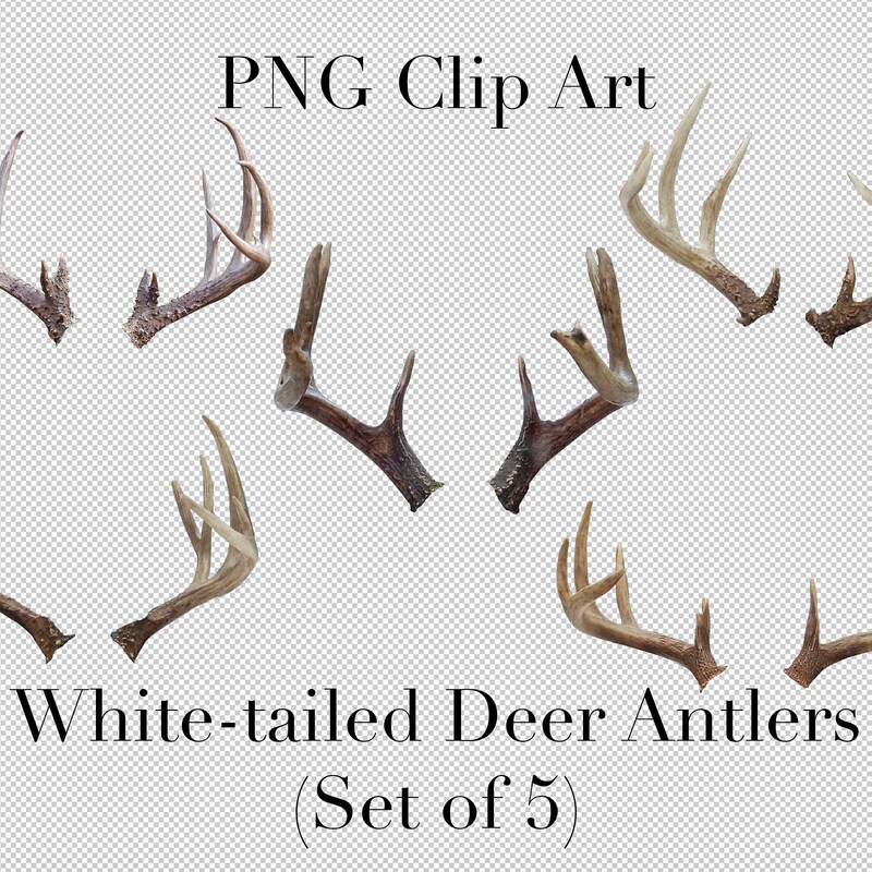 Deer Antler Clip Art - Etsy