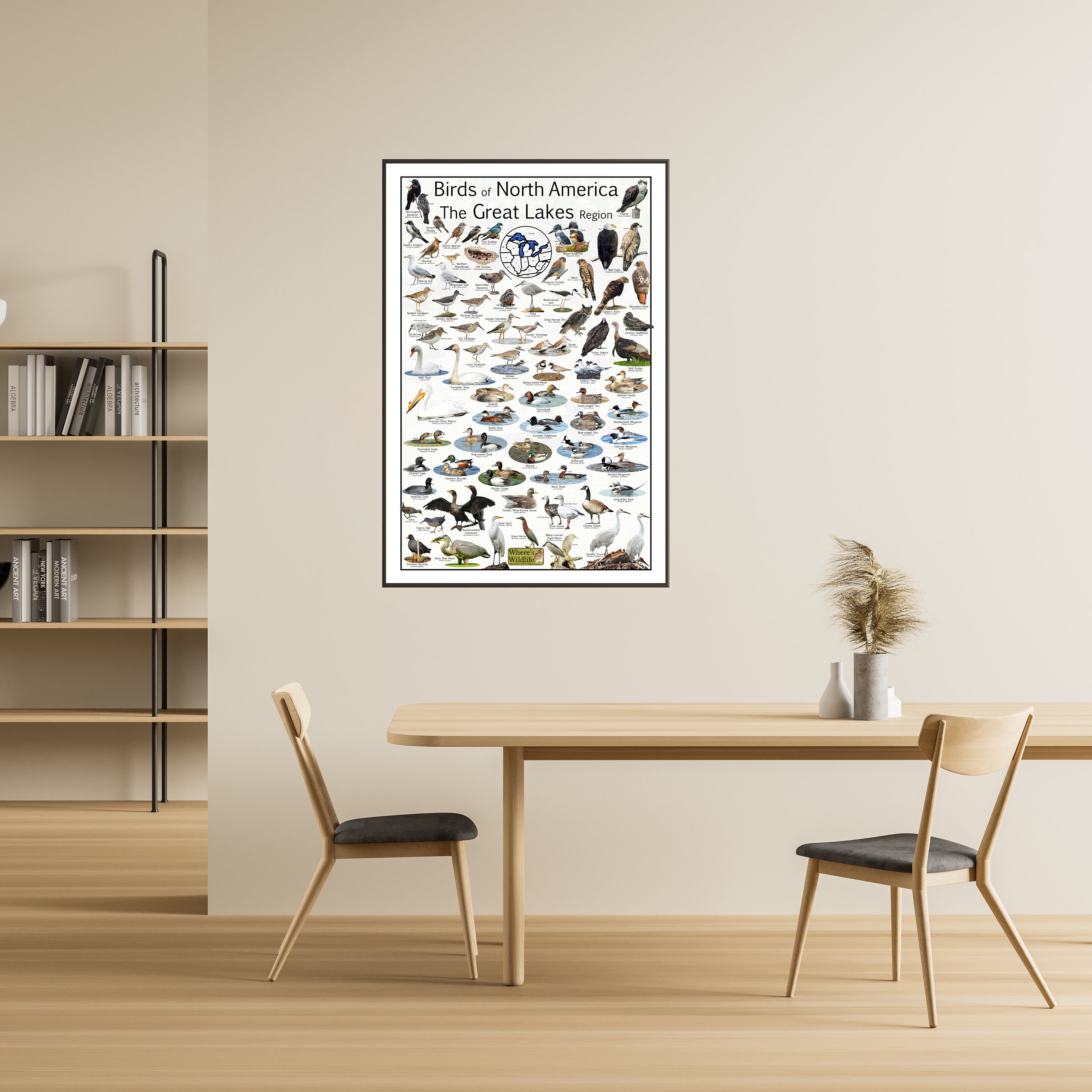 Birds of North America the Great Lakes Region Shorebird and Waterfowl ...