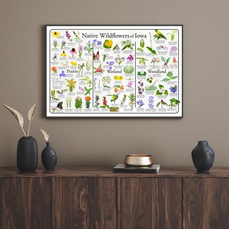 May include: A poster titled "Native Wildflowers of Iowa" with illustrations of various wildflowers categorized by habitat: Prairie, Wetland, and Woodland. Each flower is labeled with its common name.