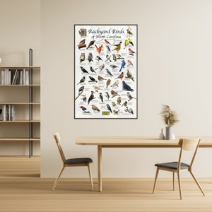 Birds of North Carolina Backyard Birding Identification Picture Print/ Field Guide to Common State Birds ID / Birdwatching / Nature Poster image 5
