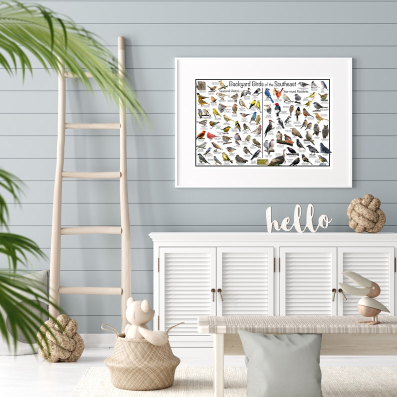Backyard Birds of the Southeast Bird Identification Poster Divided Into ...