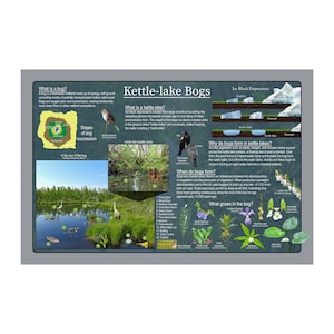 Cartel de la naturaleza educativa de Kettle-lake Bogs / Carteles de vida silvestre y paisajes / Cartel de aula de educación en el hogar / Guía de naturaleza para niños