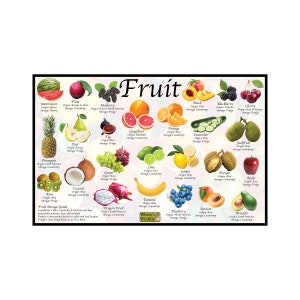 Fruit Chart Poster / Culinary Poster Providing Origin, Best Storage, and Identification for Common Fruits / Fruit Illustration Wall Art Deco