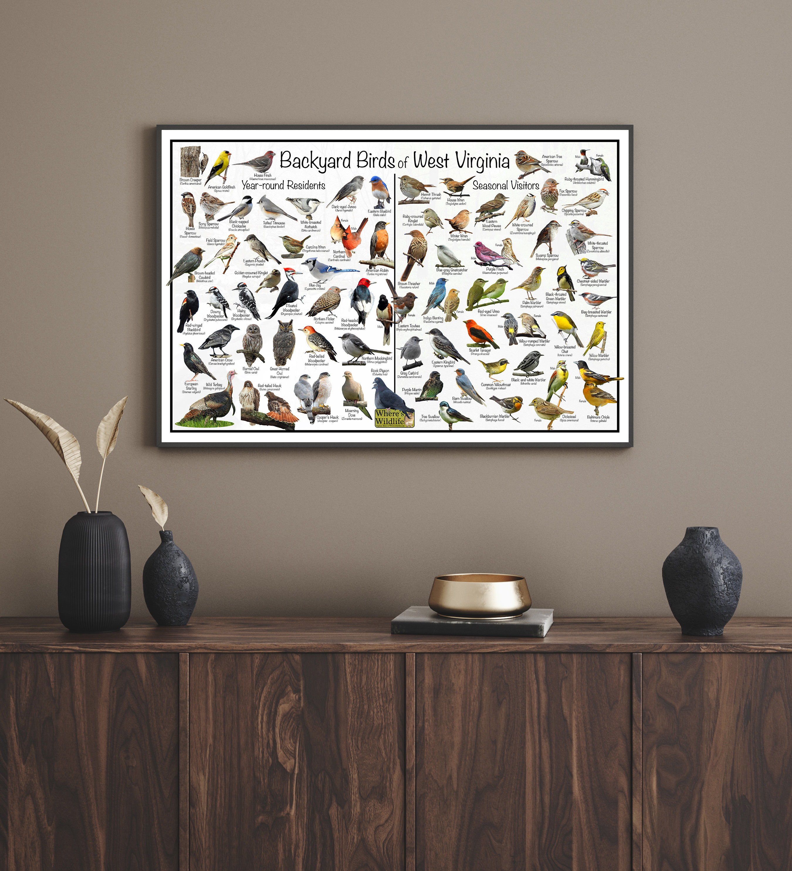 Backyard Birds of West Virginia Bird Identification Poster Divided Into ...