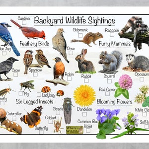 May include: A colorful chart with illustrations of common backyard wildlife, including birds, mammals, insects, and flowers. The chart is titled "Backyard Wildlife Sightings" and includes checkboxes for each animal or plant.