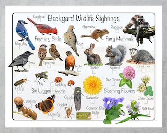 Self Print Backyard Wildlife Checklist for Kids / Educational Nature Chart For Homeschool / Fun Outdoor Adventures Guide Digital Download