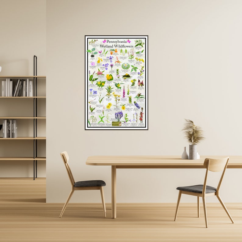 Pennsylvania Wetland Wildflower Poster / State Flower Guide Providing ...