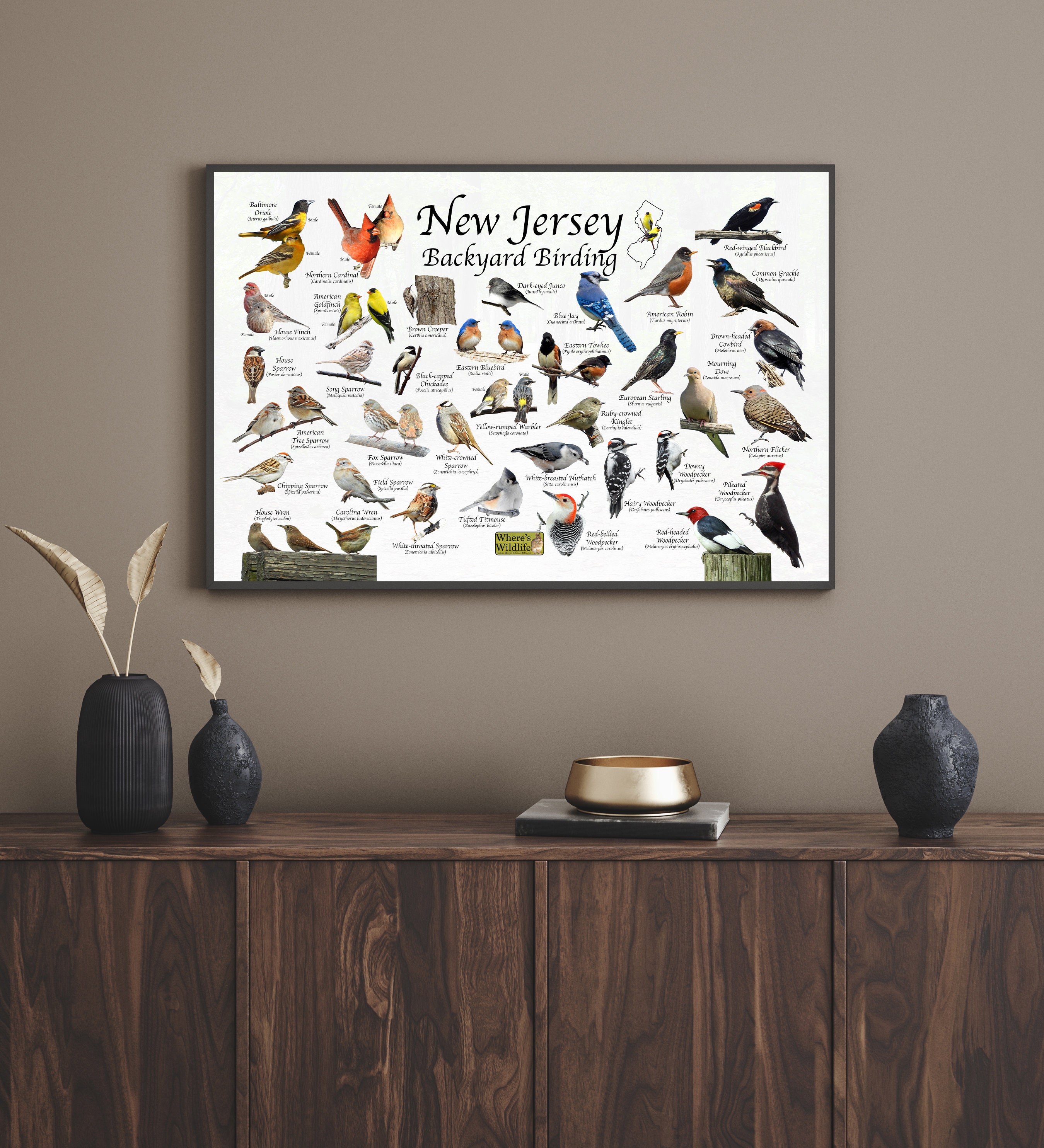 Birds of New Jersey Backyard Birding Identification Picture Print