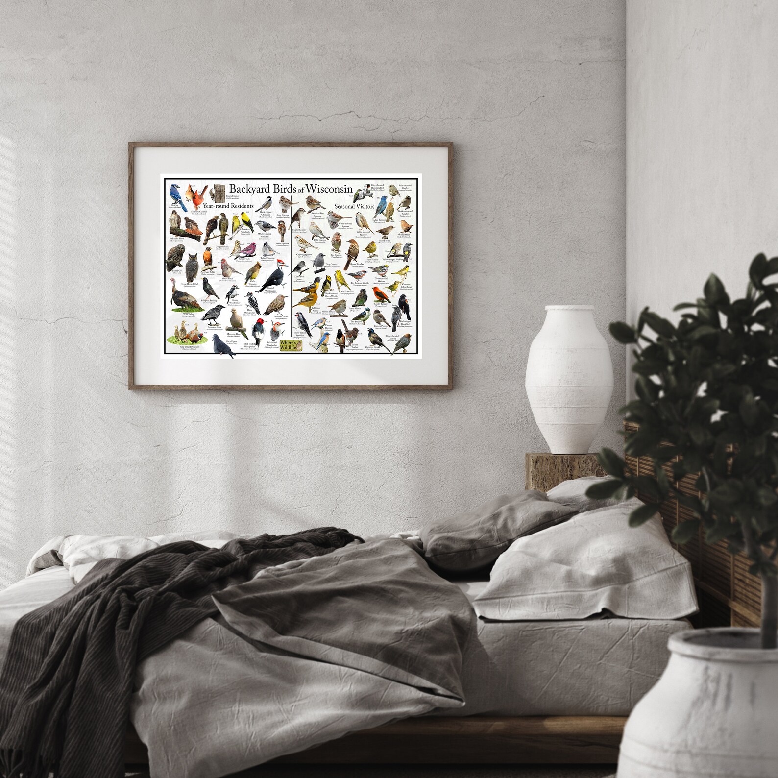 Backyard Birds of Wisconsin Bird Identification Poster Divided Into ...