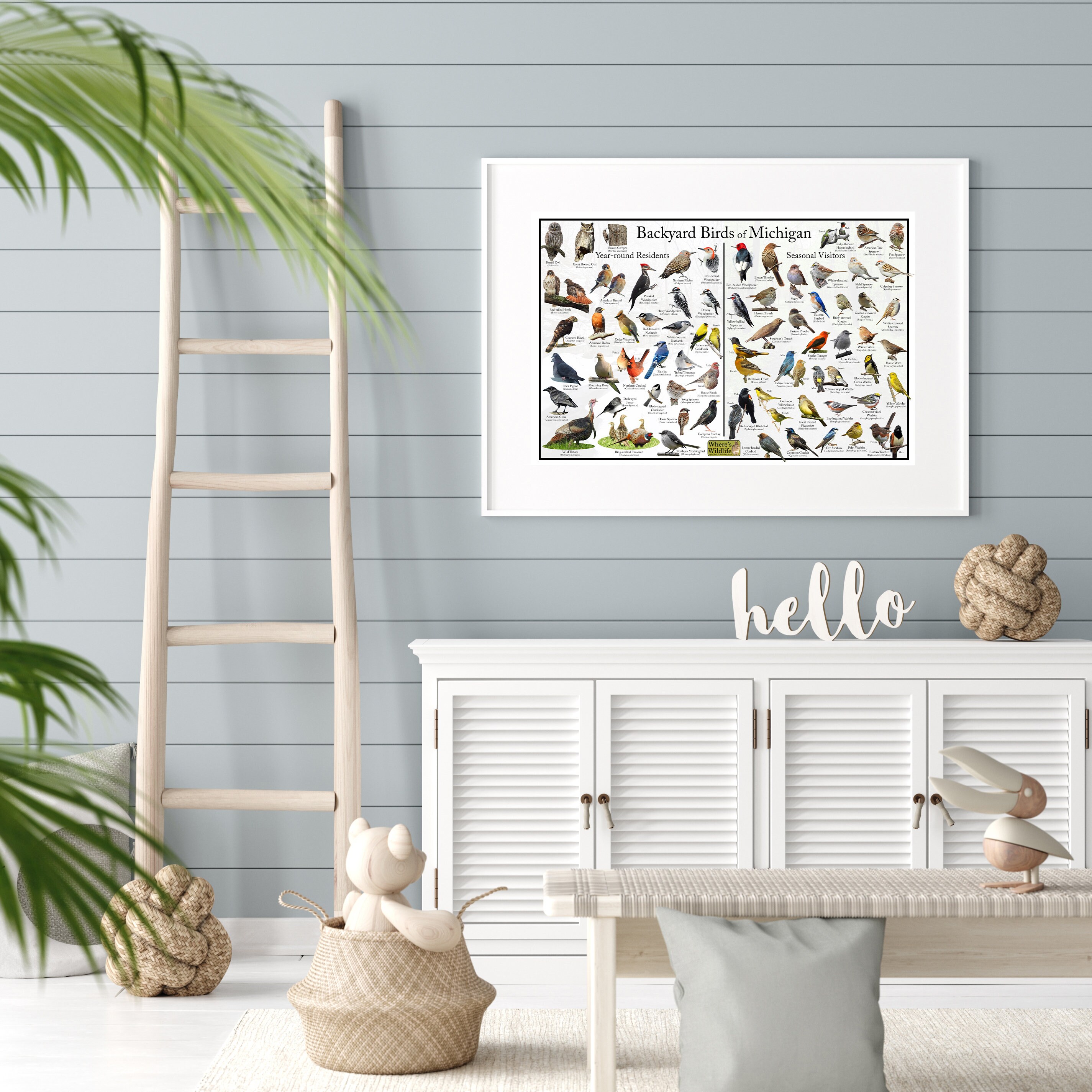Backyard Birds of Michigan Bird Identification Poster Divided Into Year ...
