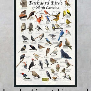 Birds of North Carolina Backyard Birding Identification Picture Print/ Field Guide to Common State Birds ID / Birdwatching / Nature Poster image 2