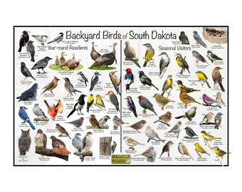 Backyard Birds of South Dakota Bird Identification Poster Divided by Year-round Residents & Seasonal Visitors / Birdwatching Nature Guide