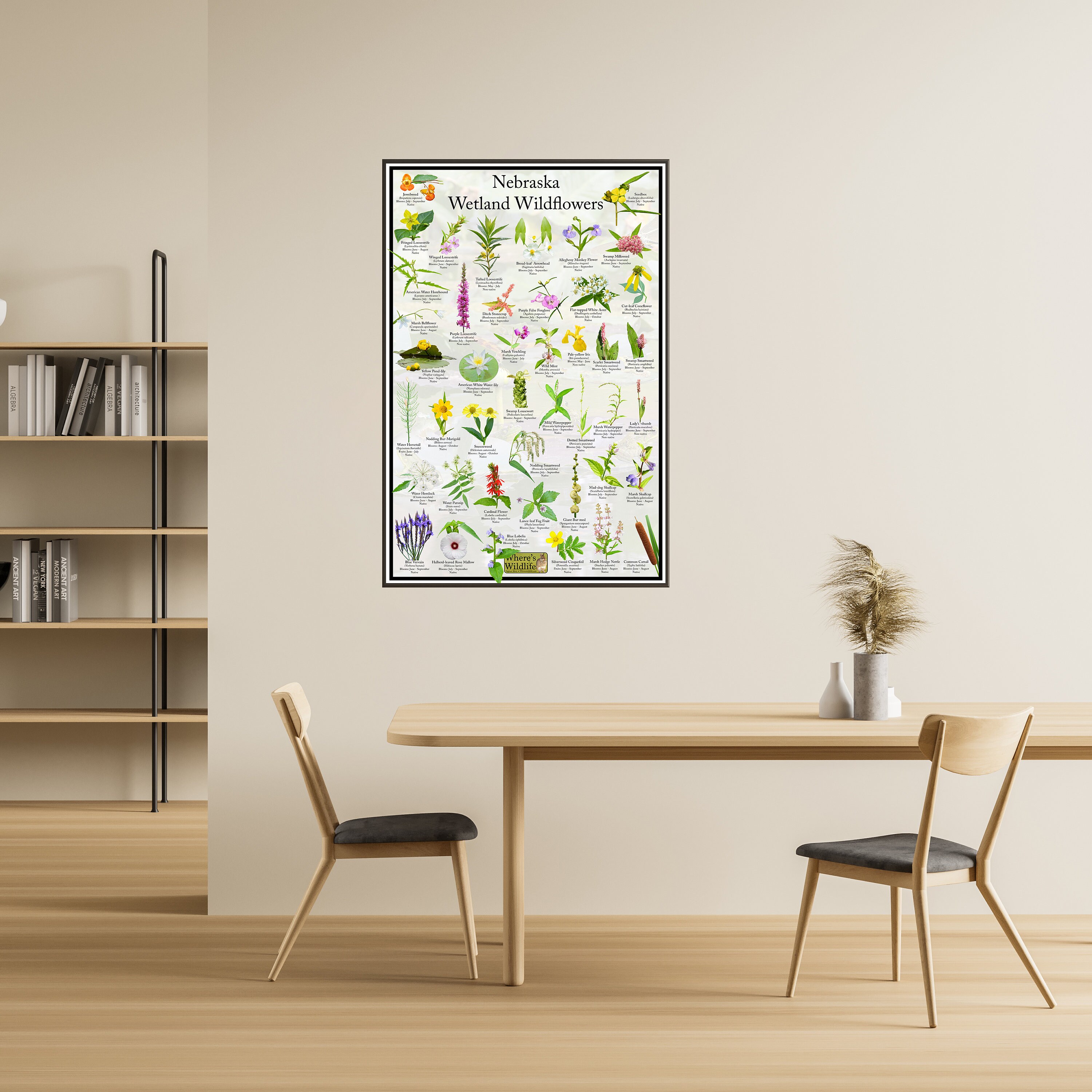 Nebraska Wetland Wildflower Poster / State Flower Guide Providing ...