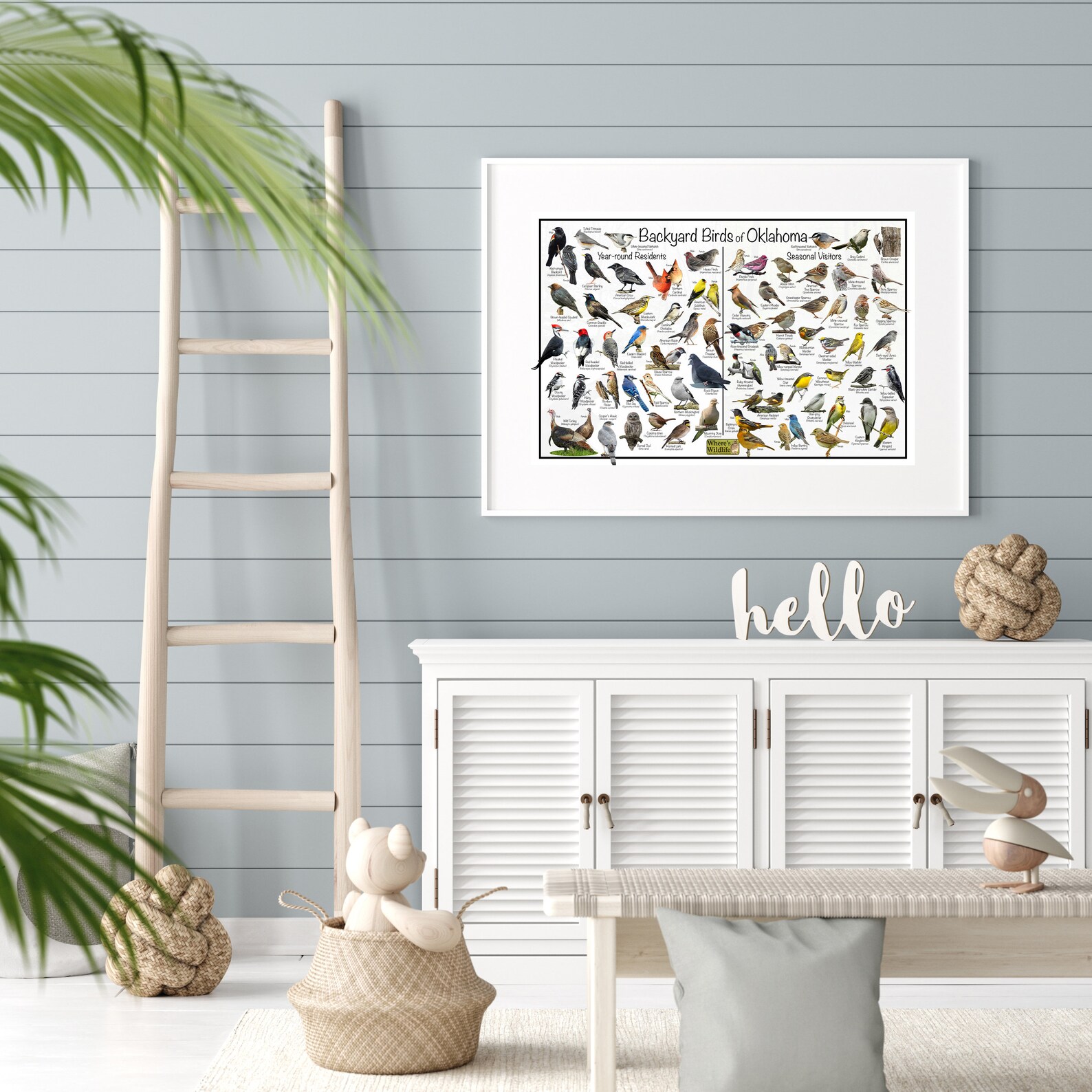 Backyard Birds of Oklahoma Bird Identification Poster Divided Into Year ...