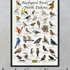 Backyard Birds of North Dakota Bird Identification Poster / Bird Field ...