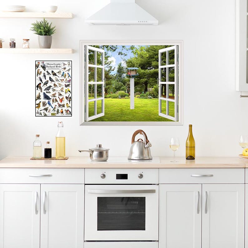 Massachusetts Backyard Birds Poster Massachusetts Bird Watching Chart