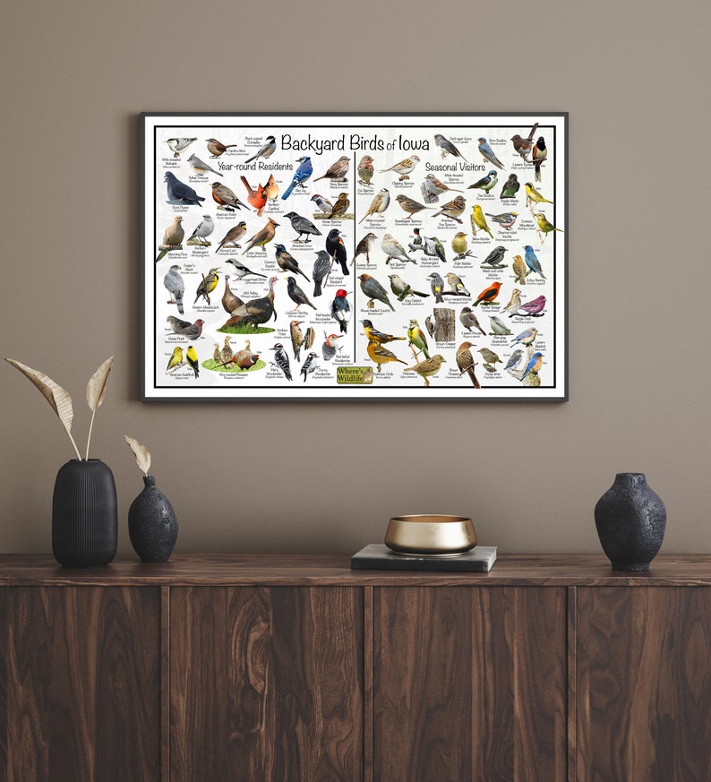 Backyard Birds of Iowa Bird Identification Poster Divided by Year-round ...