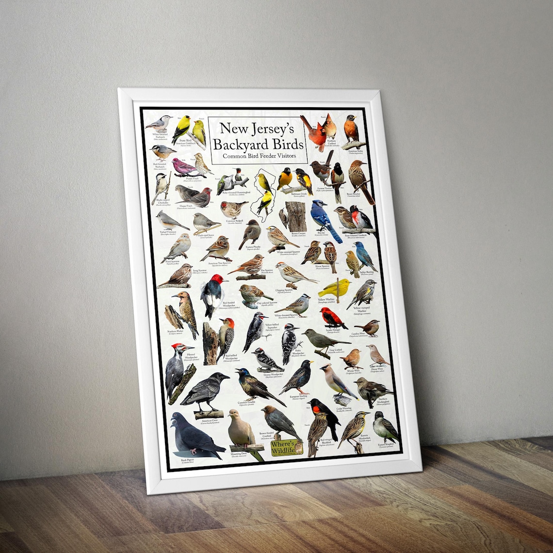 New Jersey's Backyard Birds Poster - New Jersey Bird Watching Chart ...