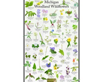 May include: A colorful poster featuring illustrations of Michigan woodland wildflowers. Each flower is labeled with its common name, scientific name, and bloom time. The poster also includes the text "Michigan Woodland Wildflowers" and "Where's Wildlife".