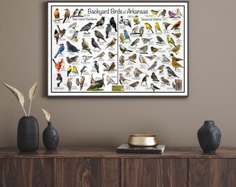 Backyard Birds of Arkansas Bird Identification Poster Divided by