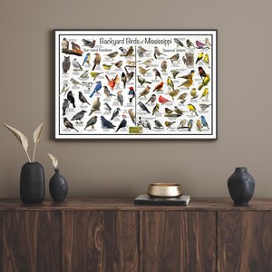 Backyard Birds of Mississippi Bird Identification Poster Divided Into ...
