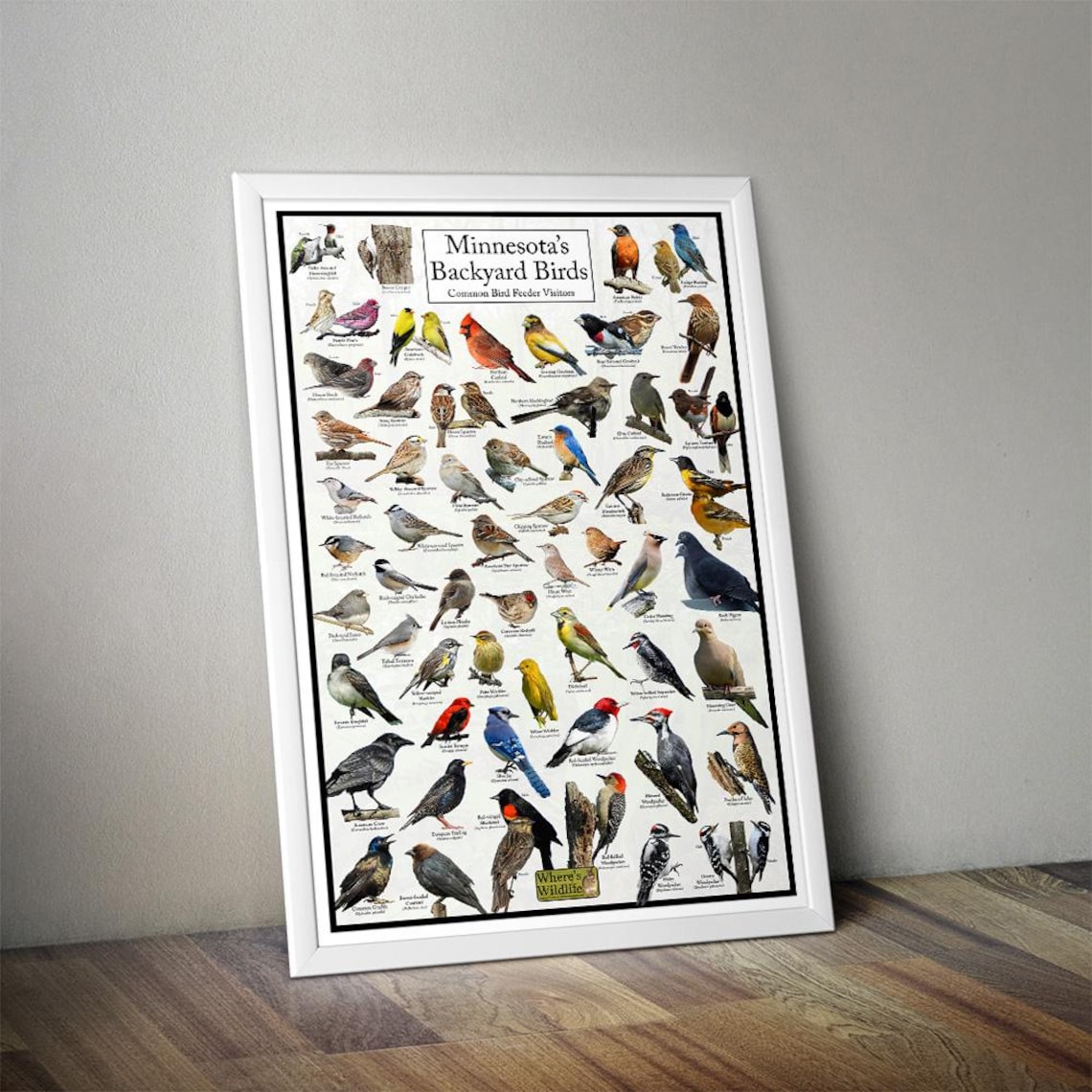 Minnesota's Backyard Birds Poster - Minnesota Bird Watching Chart ...