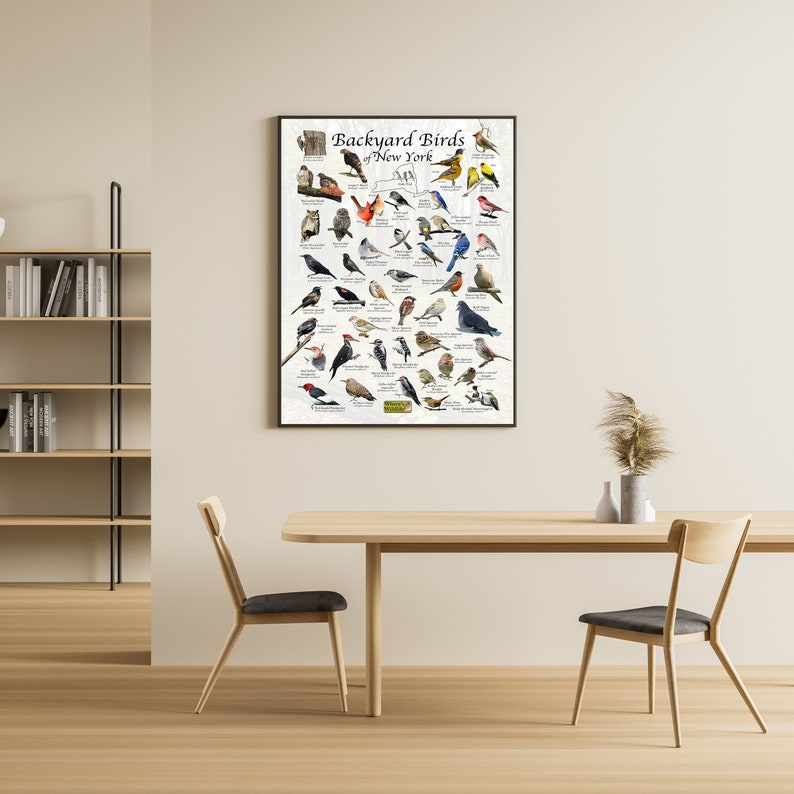 Backyard Birds of New York Bird Identification Poster - Bird Field ...