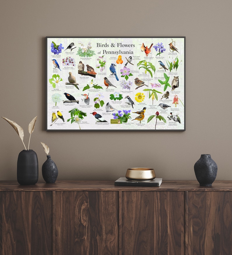 Birds and Flowers of Pennsylvania Poster / State Flower & Bird Guide ...