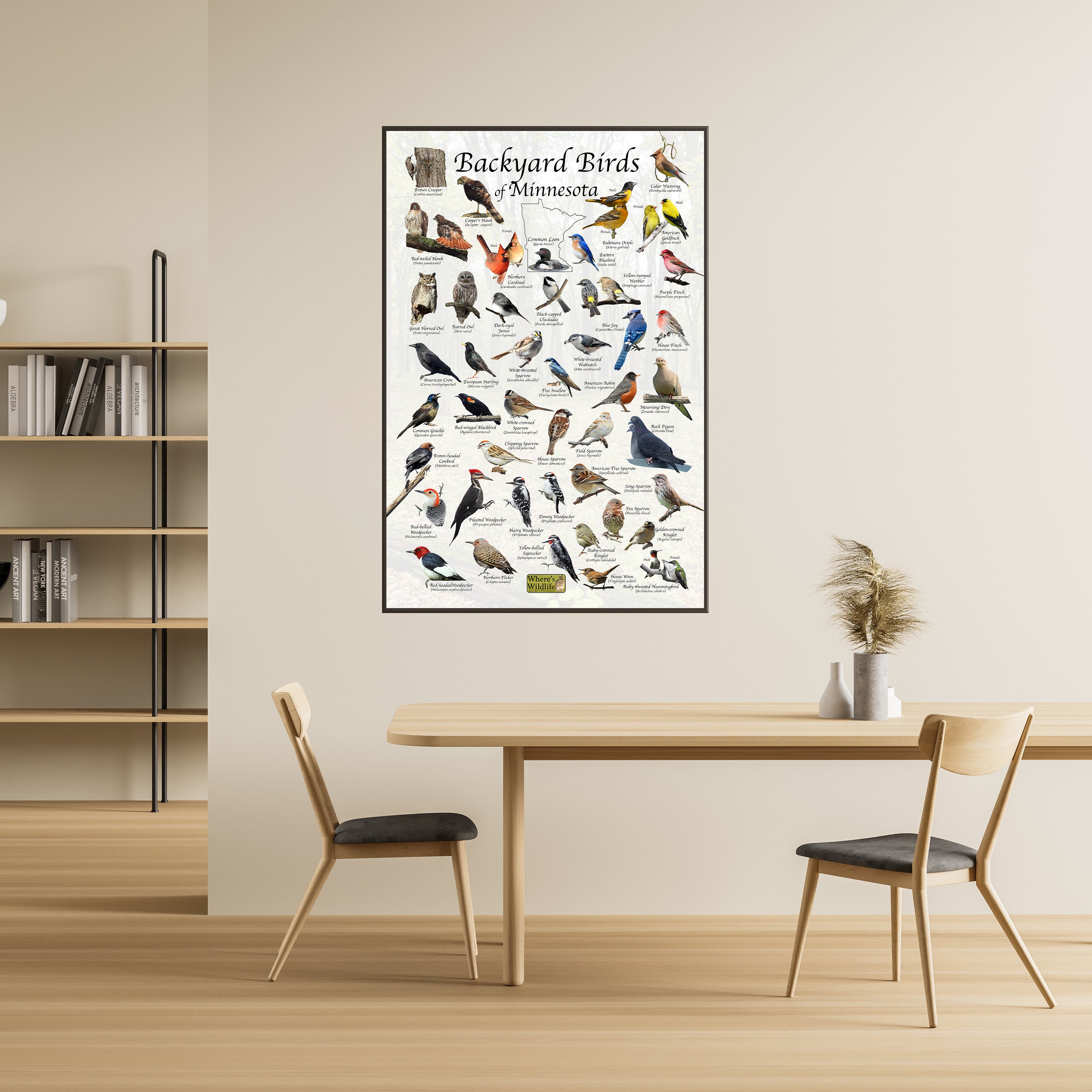Backyard Birds of Minnesota Bird Identification Poster / Bird Field ...
