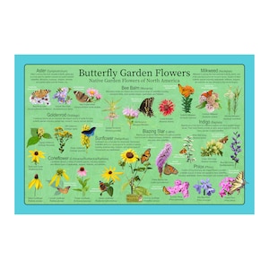 Butterfly Garden Flower Poster / Native Flowers To Attract Butterflies to the Garden / Butterfly & Flower IDentification Nature Poster