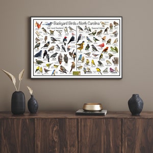 Backyard Birds of North Carolina Bird Identification Poster Divided by ...