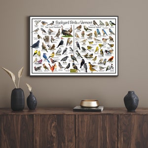 Backyard Birds of Vermont Bird Identification Poster Divided Into Year ...