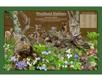 May include: A colorful illustration of a woodland habitat in spring. The image features a variety of animals, including a deer, a fox, a squirrel, a turkey, and a chipmunk. The image also features a variety of plants, including flowers, trees, and ferns. The text "Woodland Habitats" is at the top of the image, and the text "Spring in the woodlands!" is below it. The text "What's in the woodland?" is on the right side of the image.