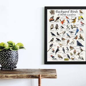 Birds of North Carolina Backyard Birding Identification Picture Print/ Field Guide to Common State Birds ID / Birdwatching / Nature Poster image 4