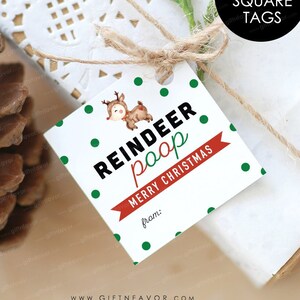 Reindeer Poop Tags,Printable Christmas Gift Tags,Digital Kisses Tags,Digital Christmas Gift Tags,Christmas Gift Tag,Christmas Kisses Tags