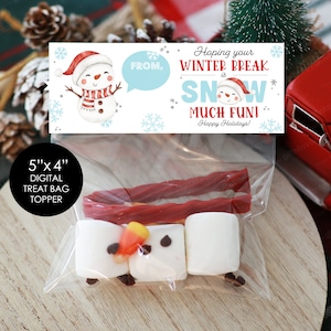 Hoping Your Winter Break is Snow Much Fun Printable Tags,Snow Man DIY Kit Label Printable,Printable Winter Break Gift Labels