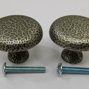 Pu&ograve; includere: Due pomelli per mobili in argento con un design a stampa leopardata e due viti.