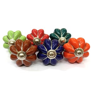 Hand-Painted Ceramic Flower Knobs, Silver Stripe, Colorful Drawer Pull
