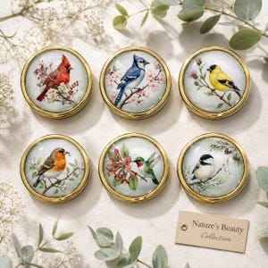 May include: Six round decorative trinket boxes with gold rims, each featuring a different bird illustration. Birds include a red cardinal, blue jay, yellow finch, robin, hummingbird, and black-capped chickadee. The tag reads "Nature's Beauty Collection."