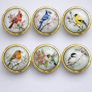 Tiradores de cristal con forma de pájaro de estilo vintage, marco de latón puro, tiradores decorativos para cajones, herrajes inspirados en la naturaleza.