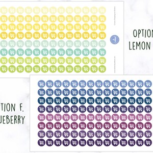 May include: Two sheets of sticker paper with 100 shopping cart stickers each. The first sheet has a gradient of yellow, green, and blue. The second sheet has a gradient of blue, purple, and gray. The text "OPTION E. LEMON LIME" is printed on the first sheet and "OPTION F. BLUEBERRY" is printed on the second sheet.