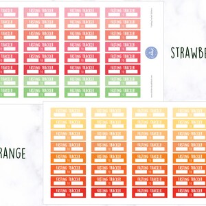 Planerare för fasteaktivitet | Fasteklistermärken | Planerare för periodisk fasta | Planerare för hälsa - Erin Condren Planner bild 4