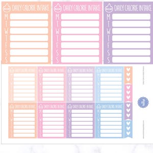 Daily Calorie Intake Stickers | Calorie Tracker Planner Stickers | Fitness Tracker Planner Stickers | Daily Calories Planner Stickers