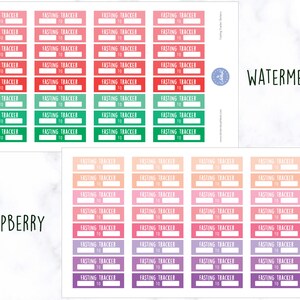 Planerare för fasteaktivitet | Fasteklistermärken | Planerare för periodisk fasta | Planerare för hälsa - Erin Condren Planner bild 6