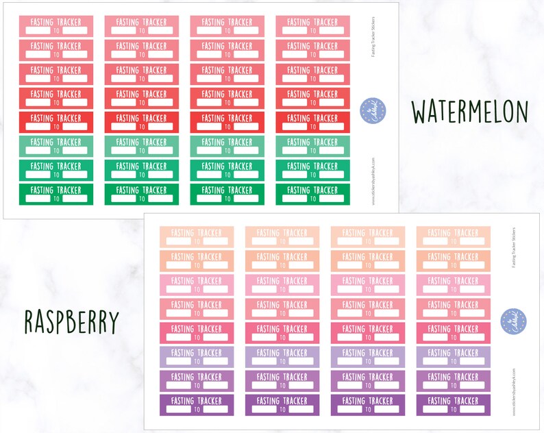 Planerare för fasteaktivitet | Fasteklistermärken | Planerare för periodisk fasta | Planerare för hälsa - Erin Condren Planner bild 6