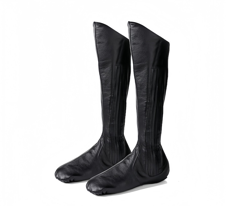 A pair of black leather boots with a pointed toe and a high heel, standing upright on a white background.