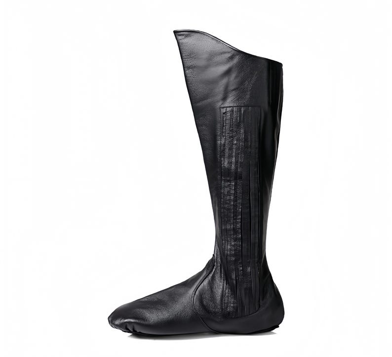A single black leather boot with a pointed toe and a high heel.